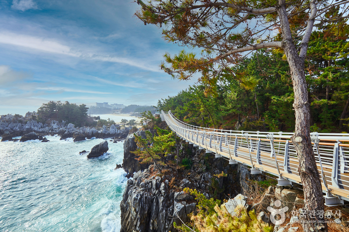 삼양라운드힐 (구, 대관령 삼양목장)2
