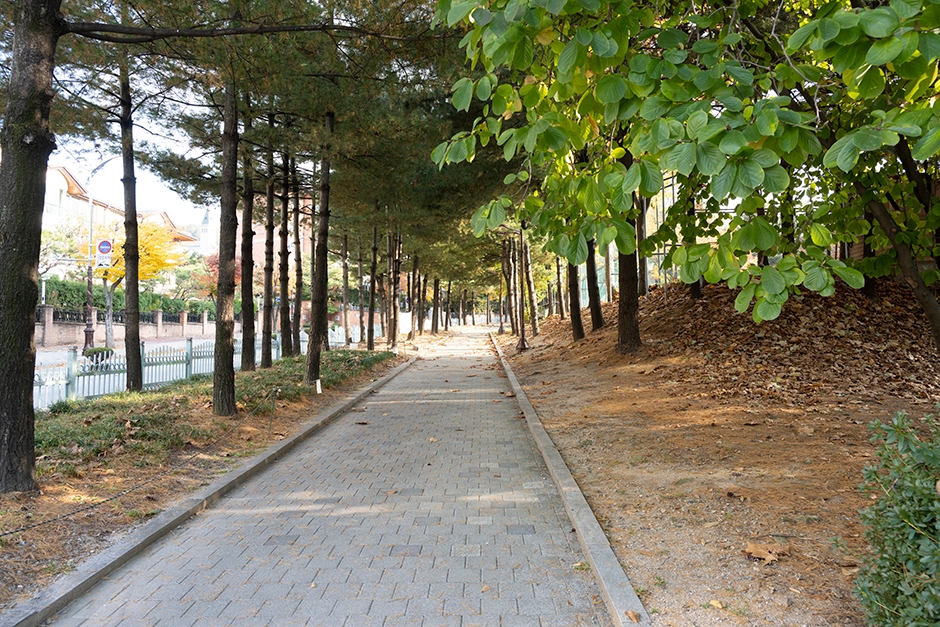 태현공원