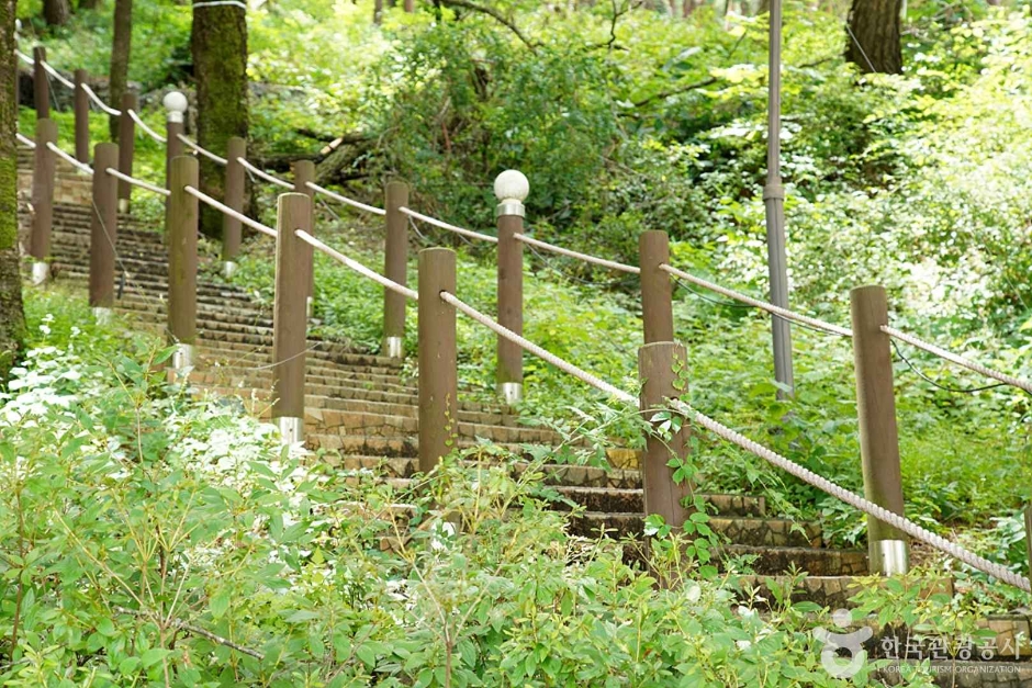 조양산(정선)