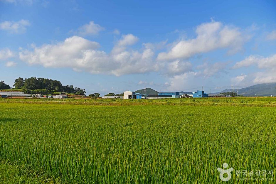 오산어촌체험마을