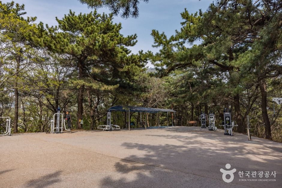 부산 에덴공원