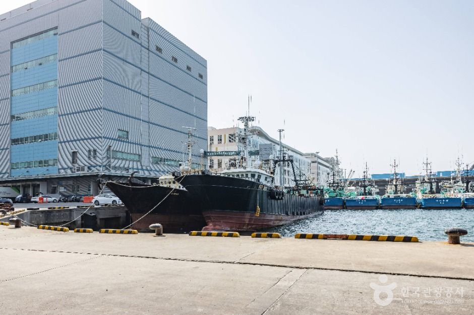 부산_부산 국제수산물도매시장 (4)