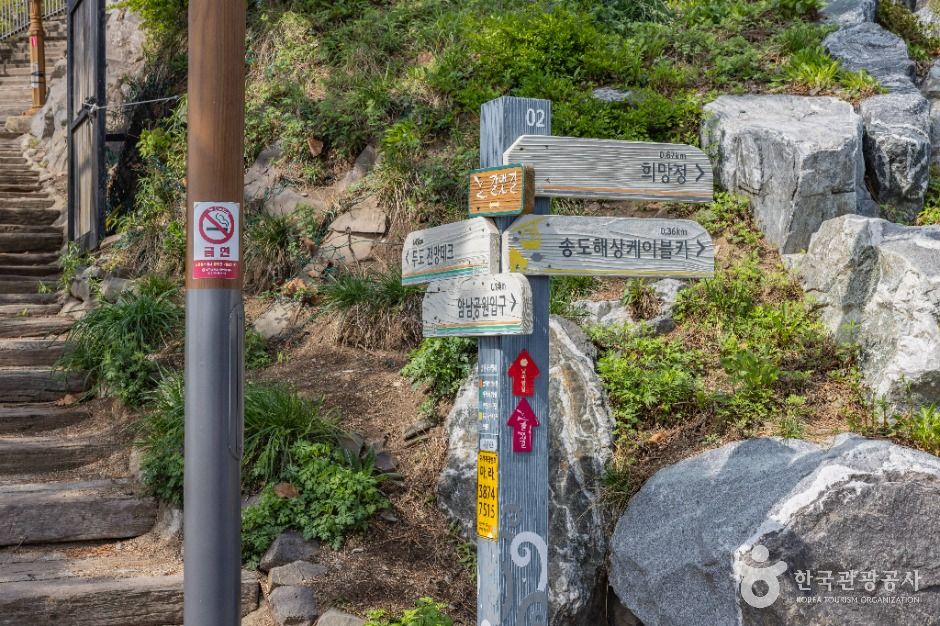 thumbnail-부산 암남공원-27