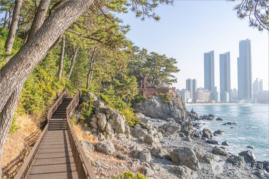 부산_해파랑길 1코스 (3)