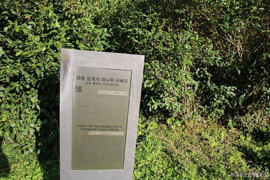 쌍계사차나무시배지