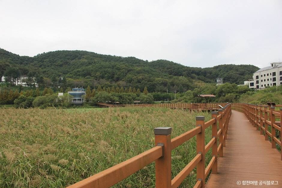 정양늪생태공원