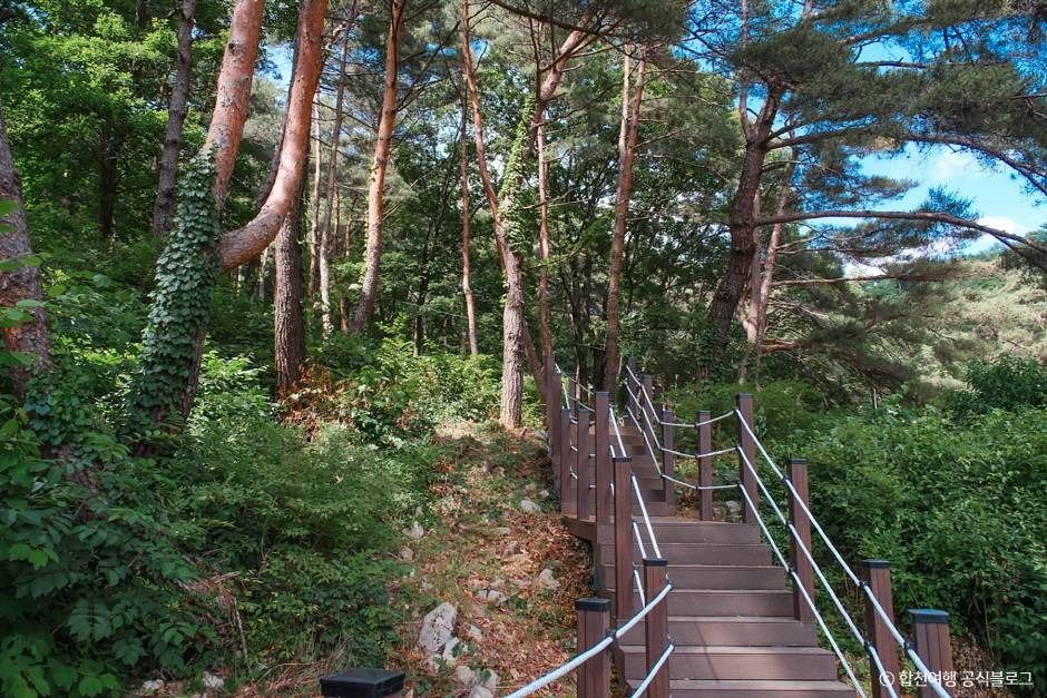 오도산자연휴양림