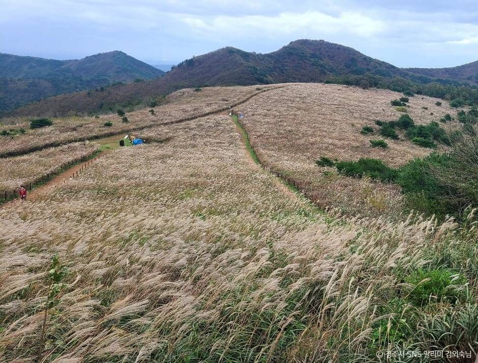 무장산