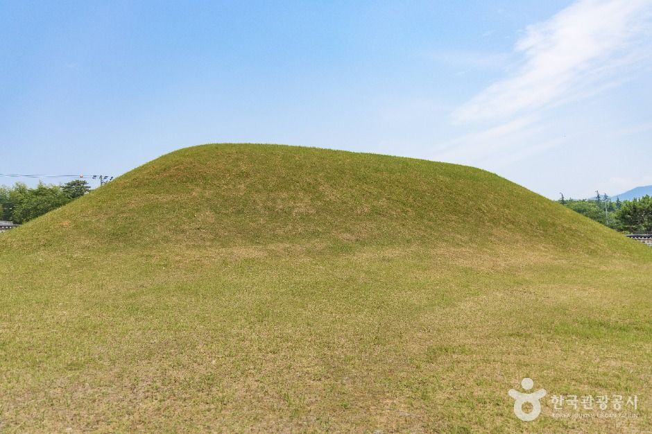 조명군총