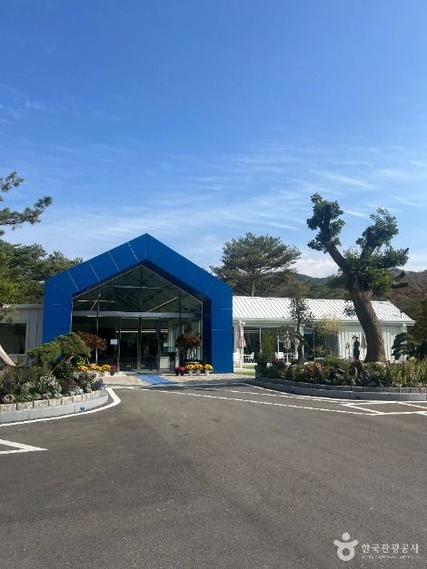 카페 고래호수