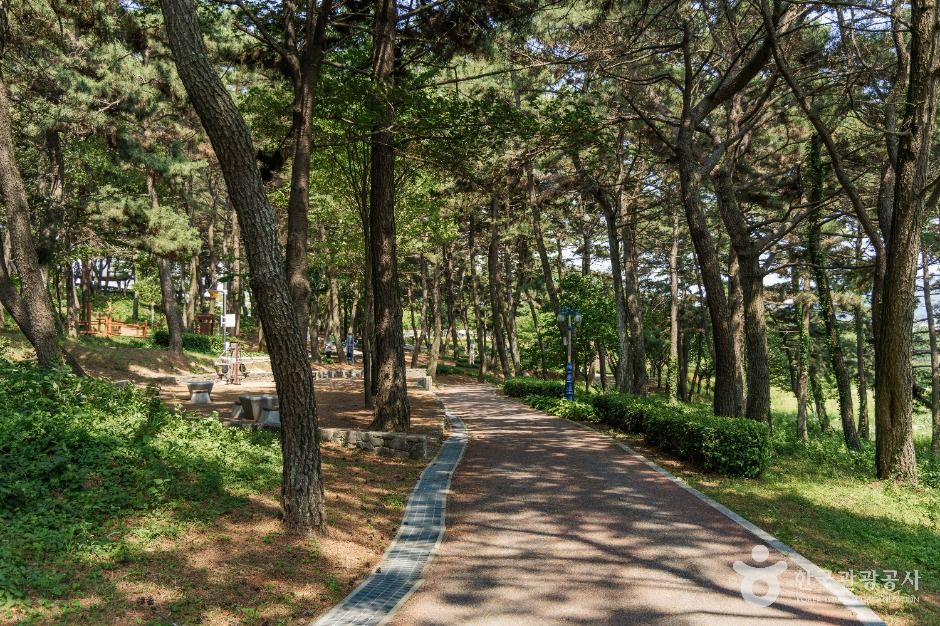 초전공원