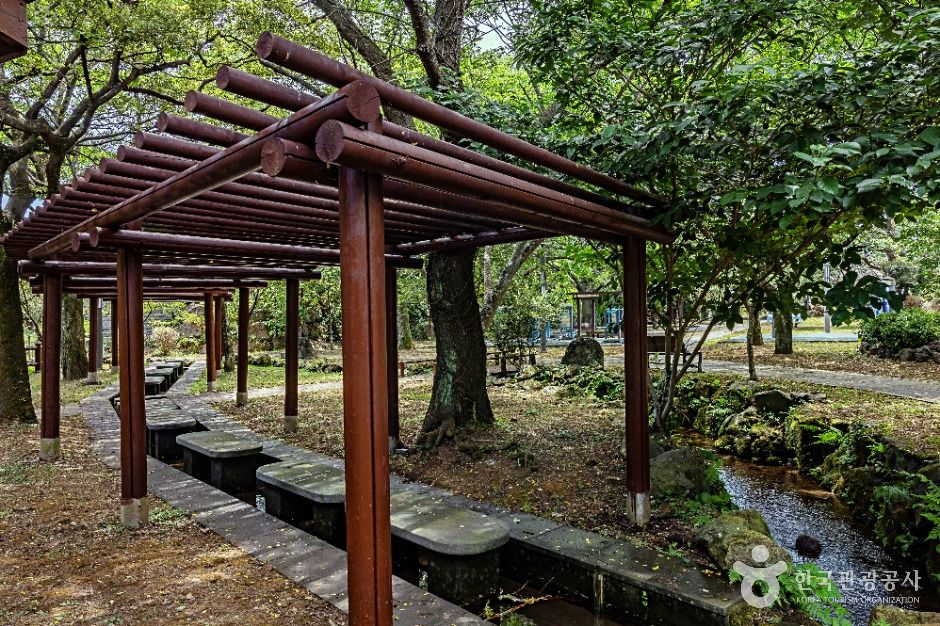 제주도 8월 가볼 만한 곳, 현지인이 주로 찾는 로컬 피서지 4_정모시쉼터_1-4