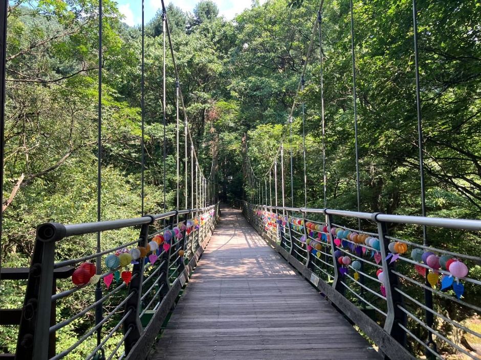 thumbnail-구룡사-27