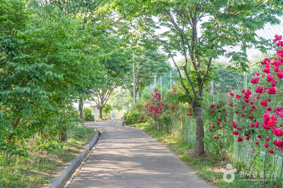 서탄금암체육공원