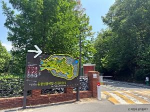 과천_서울대공원 산림욕장 (1)