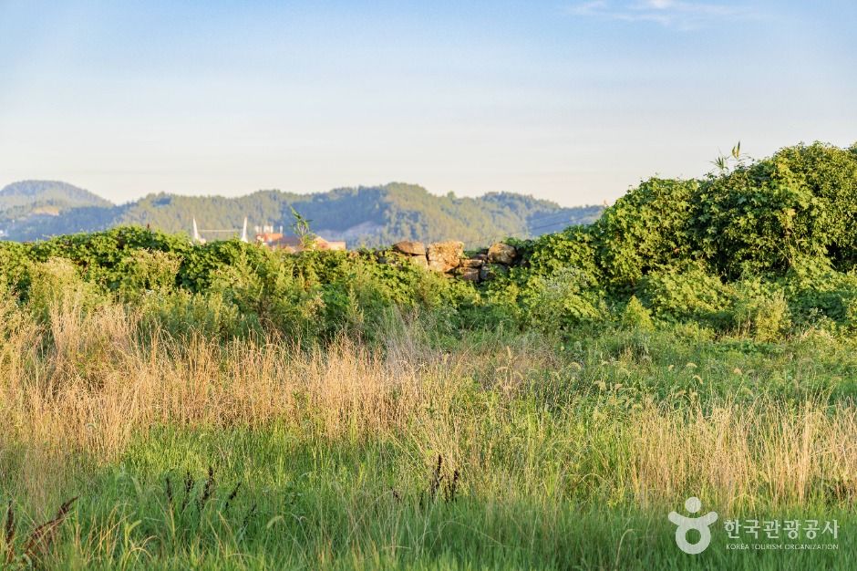 강진마도진만호성지