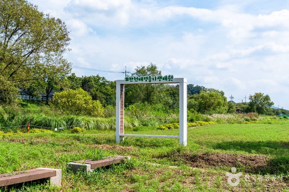 탄천민물고기습지생태원