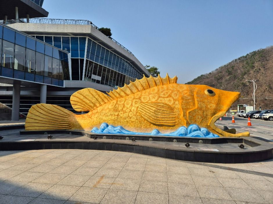 단양 다누리아쿠아리움