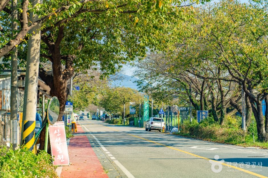 하동명품배거리