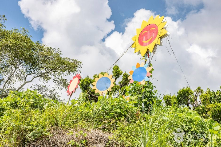 김경숙해바라기농장