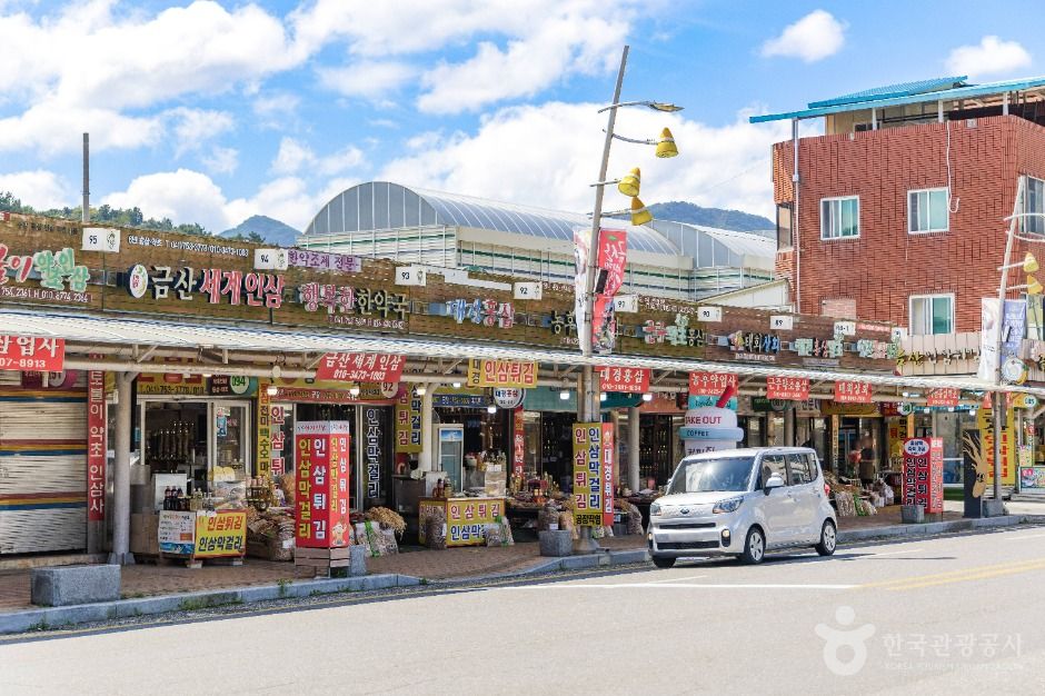 금산_금산국제인삼시장 (4)