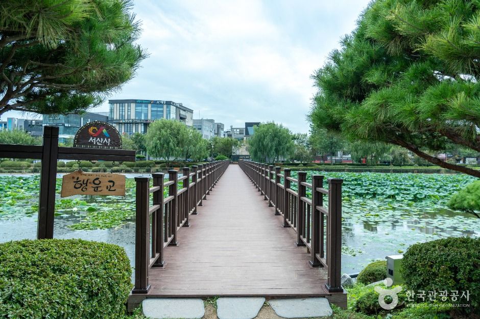 중앙호수공원(서산)