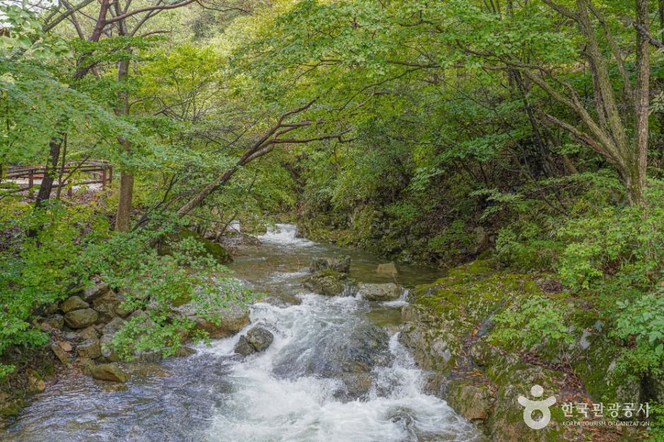 국립 운장산자연휴양림