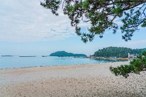 해남_해남 송호리 해송림 (3)