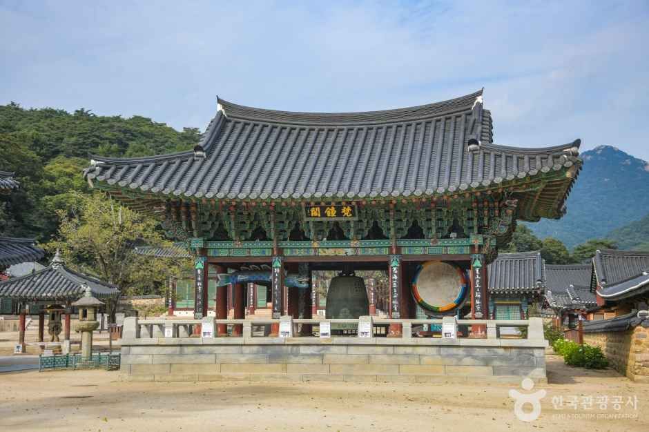 보은 법주사 (9)