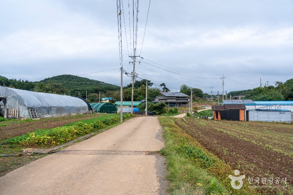 충남 서산빛들마을