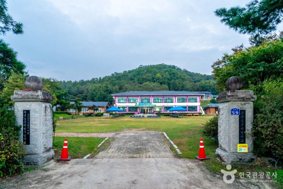 교촌농촌체험학교