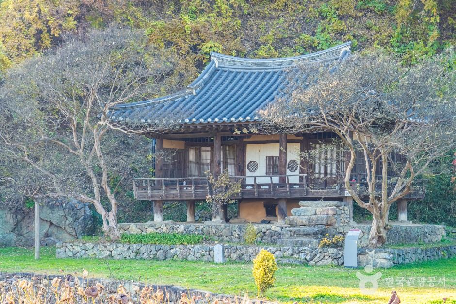 안동_체화정 (6)