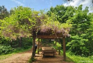 창원_정병산 (3)