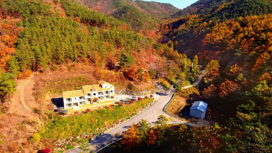 국립속리산말티재자연휴양림