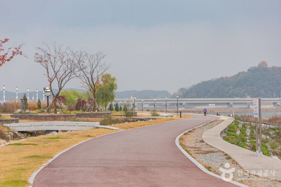 양양_연어 자전거길 (5)