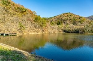 화순_세량지 (5)