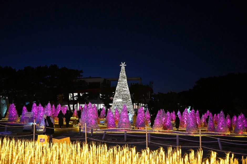 Festival de Año Nuevo en el Cabo Ganjeolgot de Ulju (울주 간절곶 해맞이)