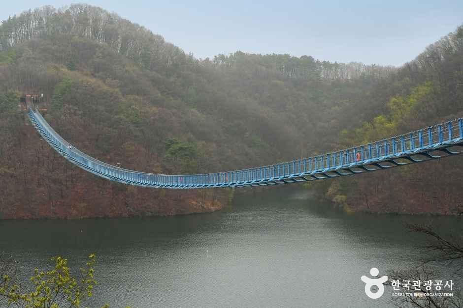 thumbnail-초평호 미르309 출렁다리-9