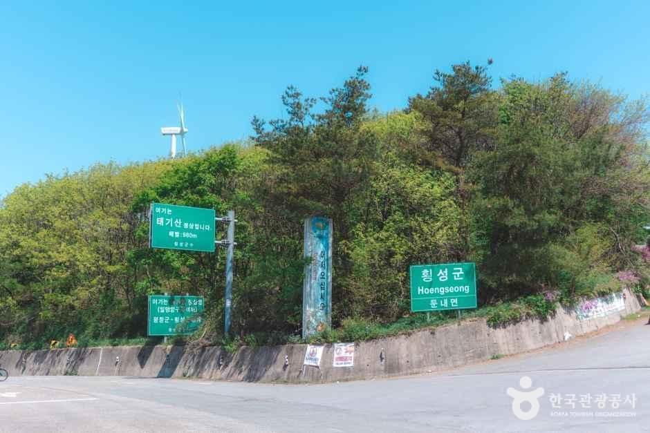 thumbnail-태기산-11