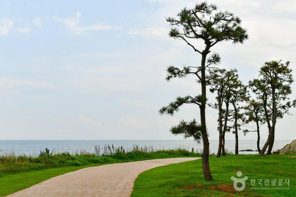 thumbnail-오시리아 해안산책로-16