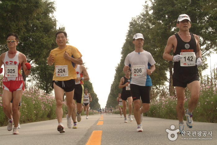 Gimje Horizon Festival (김제 지평선축제)