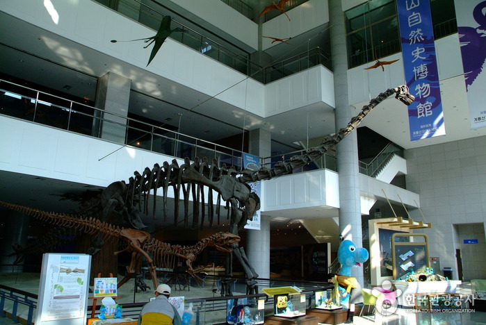 계룡산자연사박물관