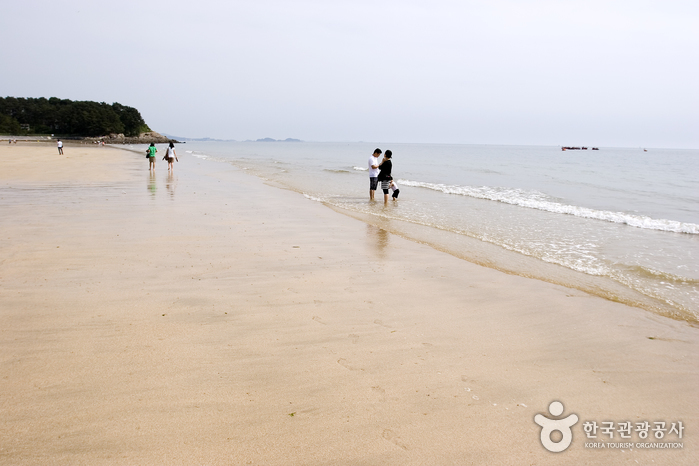 Daecheon Beach (대천해수욕장)