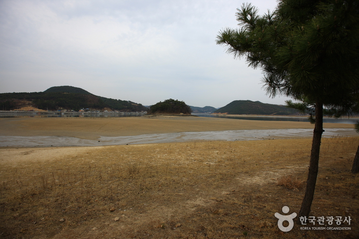 배알도 수변공원1