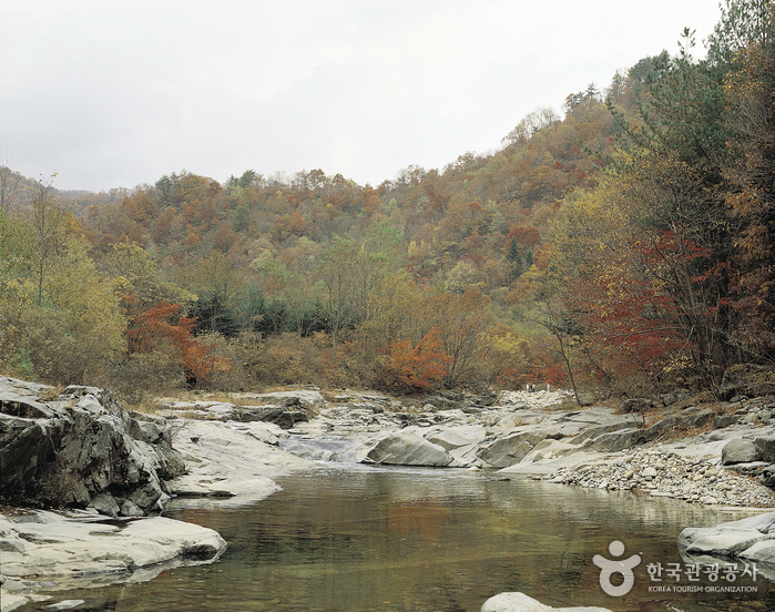 Odaesan National Park (오대산국립공원)