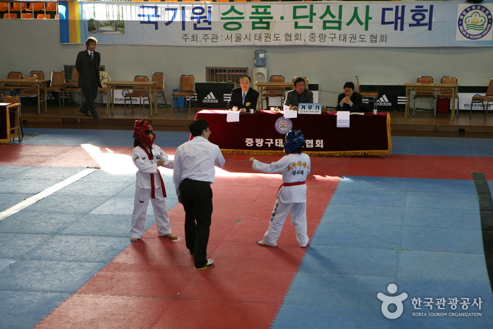 thumbnail-Kukkiwon (World Taekwondo Headquarters) (국기원(세계태권도본부))-2