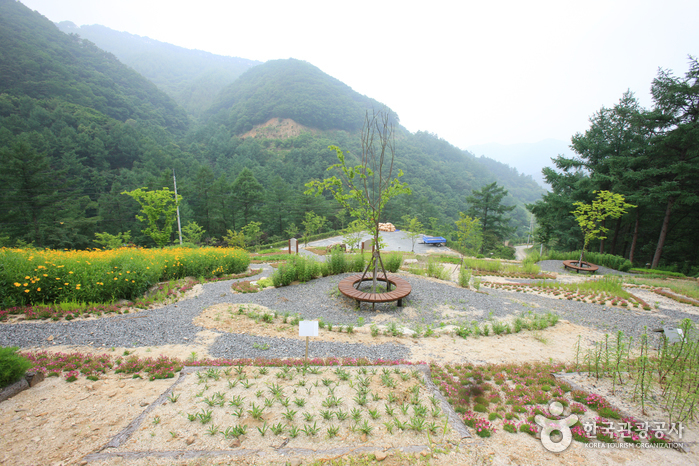 Jwagusan Recreational Forest (좌구산 자연휴양림)0