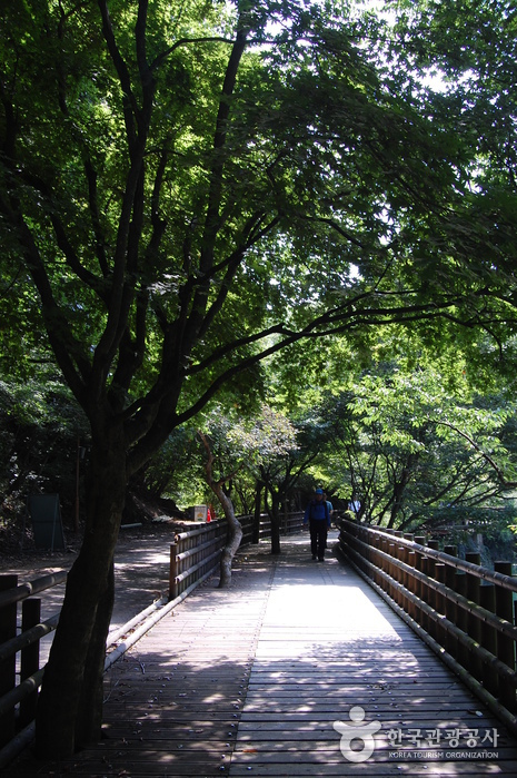 내장산국립공원 사진29