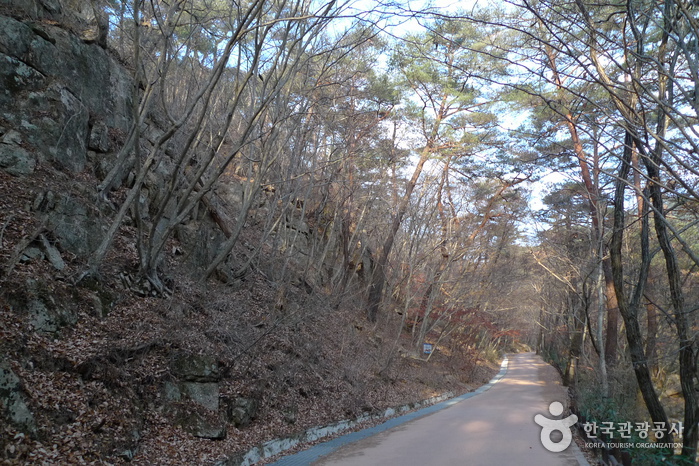 thumbnail-Songnisan National Park (Chungcheongbuk-do Section) (속리산국립공원(충북))-14