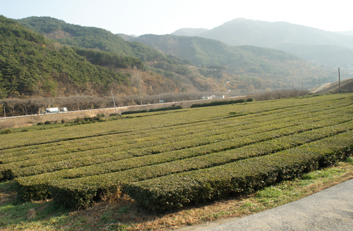 한밭 이미지